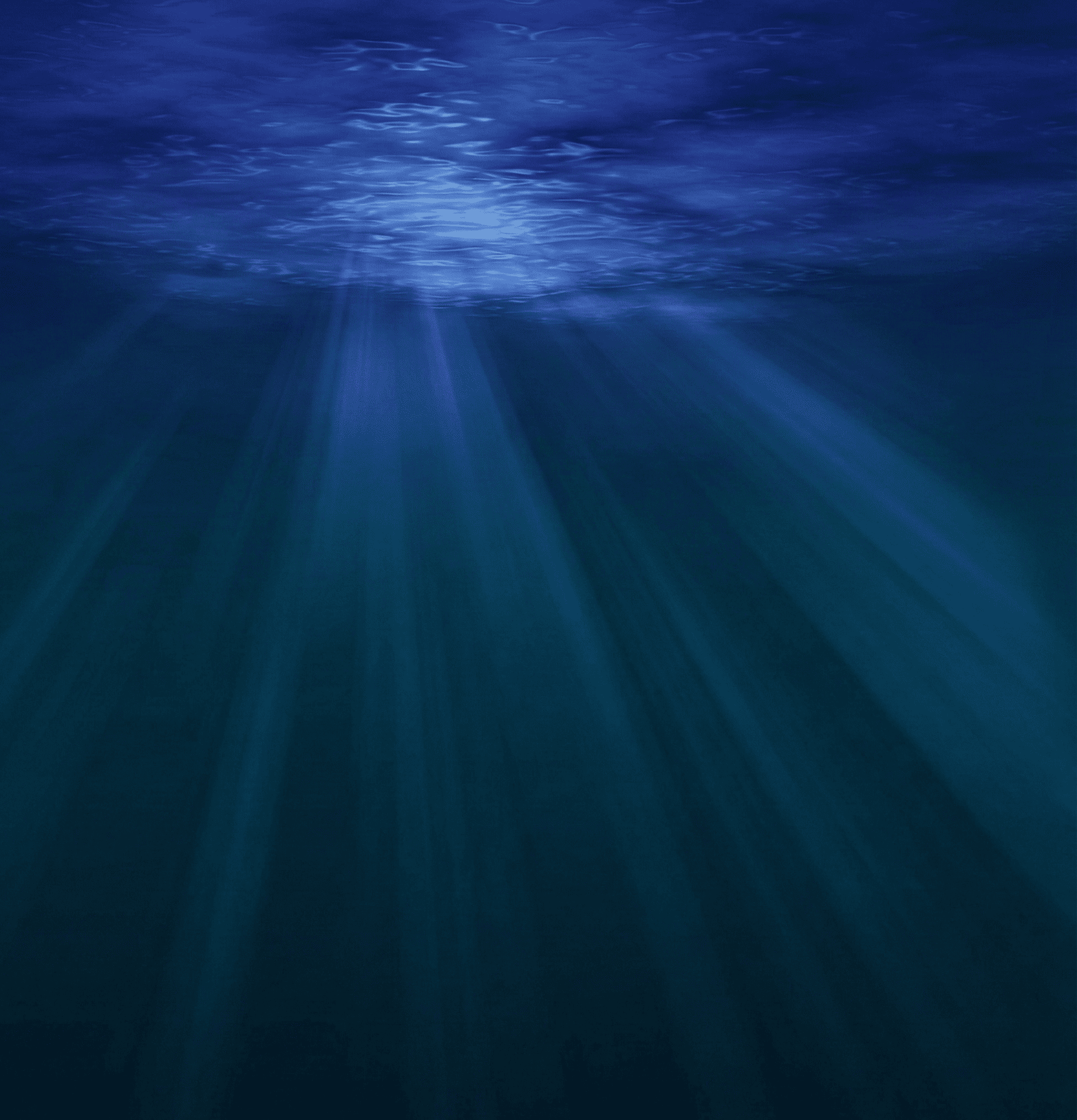 海底、月明かり